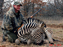 Exotic Hunt Zebra